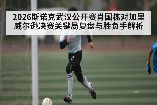 2026斯诺克武汉公开赛肖国栋对加里威尔逊决赛关键局复盘与胜负手解析 - kaiyun